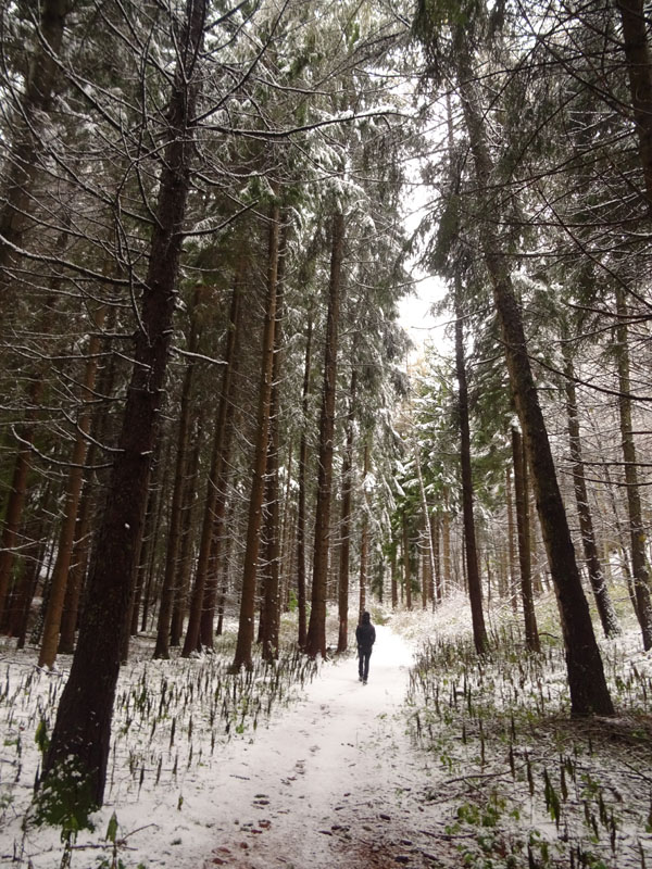 prime escursioni sulla neve....autunno  2019